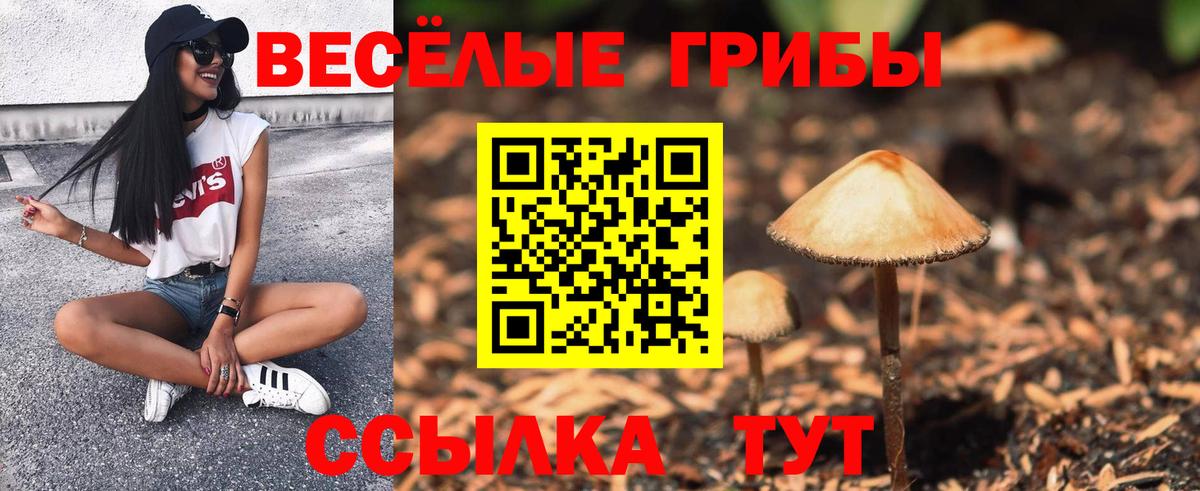 Галлюциногенные грибы Magic Shrooms Октябрьский